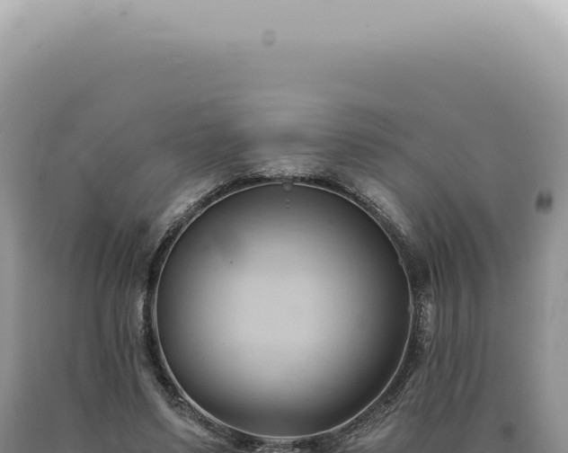 X0000090780491200707271552