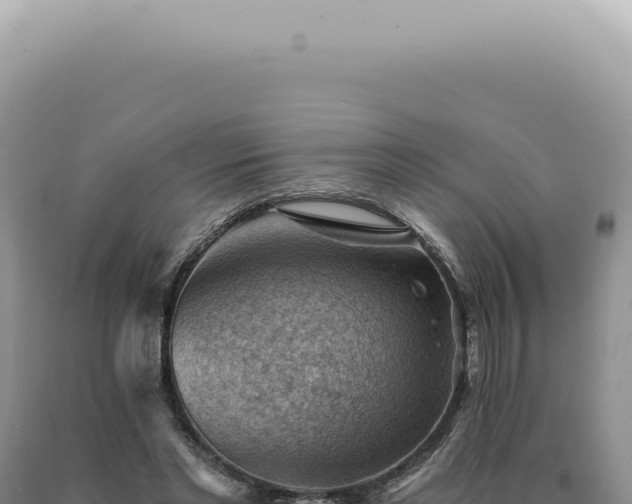 X0000090780493200707271552