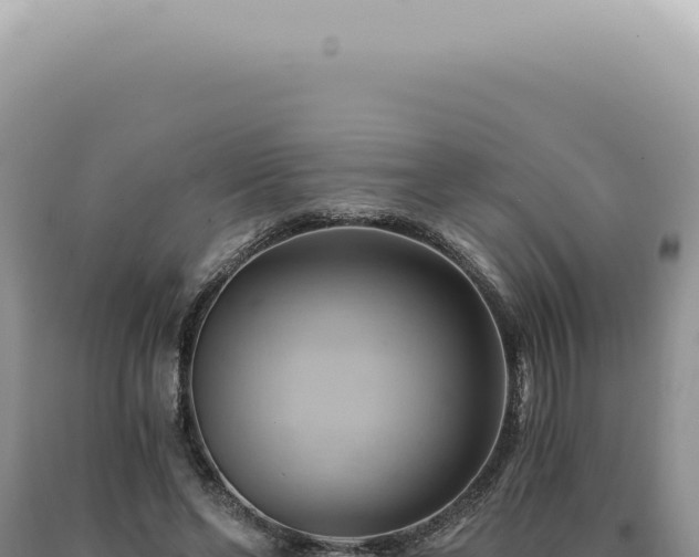X0000090780494200707271552