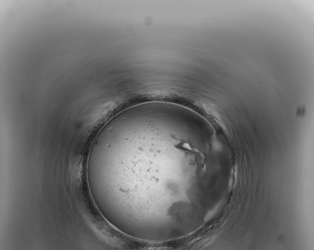 X0000090780495200707271552