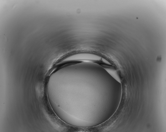 X0000090780496200707271552