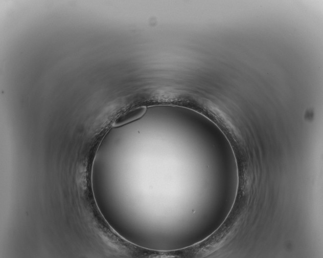 X0000090780497200707271552