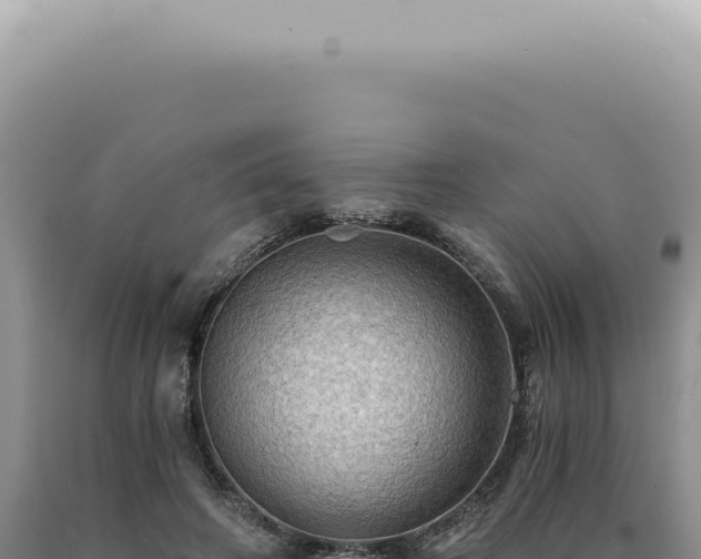 X0000090780498200707271552