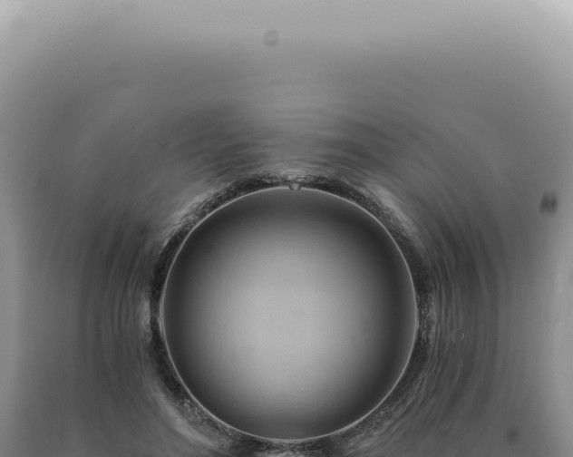 X0000090780500200707271552