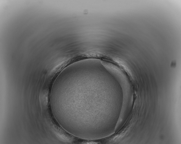 X0000090780501200707271552