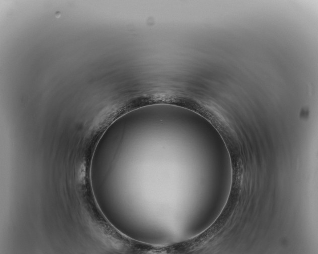 X0000090780502200707271552