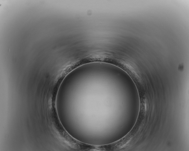 X0000090780504200707271552