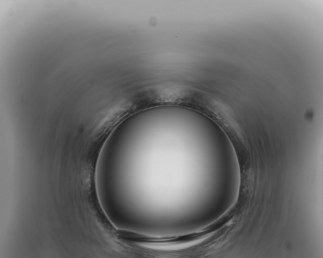 X0000090780505200707271552