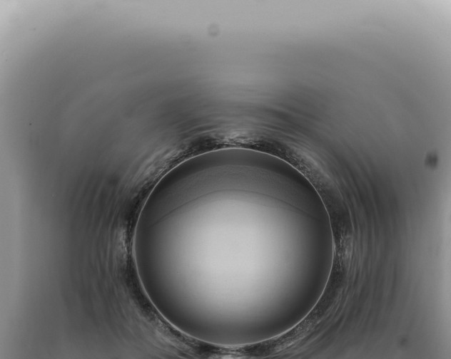 X0000090780506200707271552