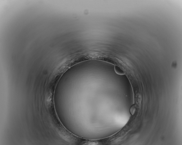 X0000090780507200707271552