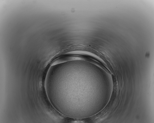X0000090780508200707271551