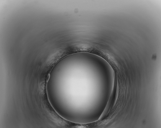 X0000090780509200707271551
