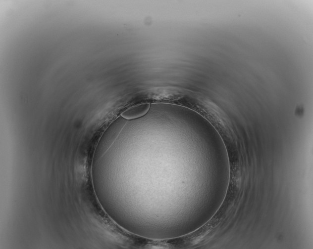 X0000090780510200707271551