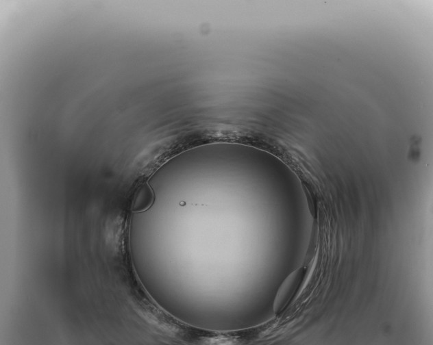 X0000090780511200707271551