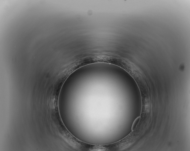 X0000090780514200707271551