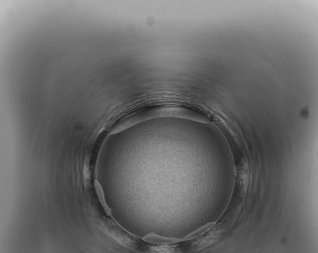 X0000090780516200707271551