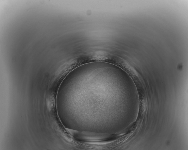 X0000090780517200707271551