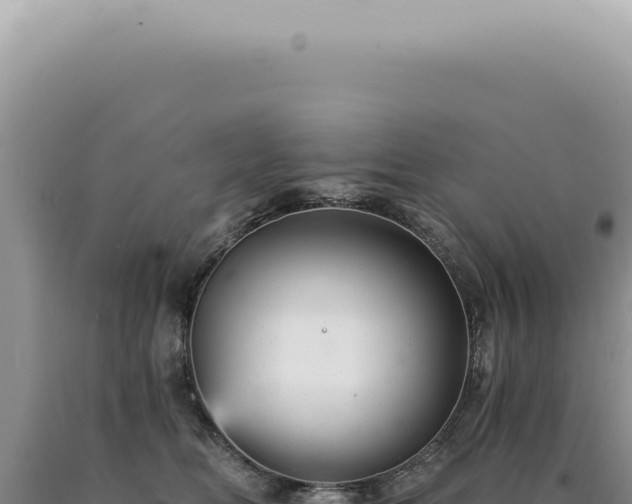 X0000090780518200707271551