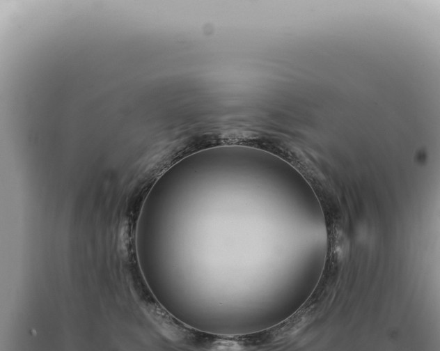 X0000090780519200707271551
