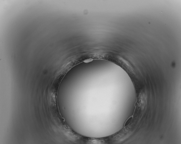 X0000090780522200707271551