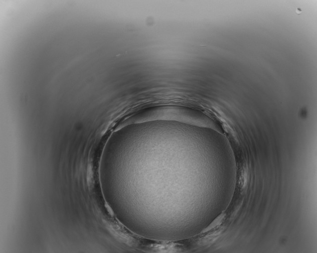 X0000090780524200707271551