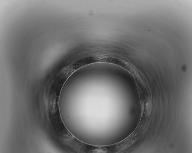 X0000090780525200707271551