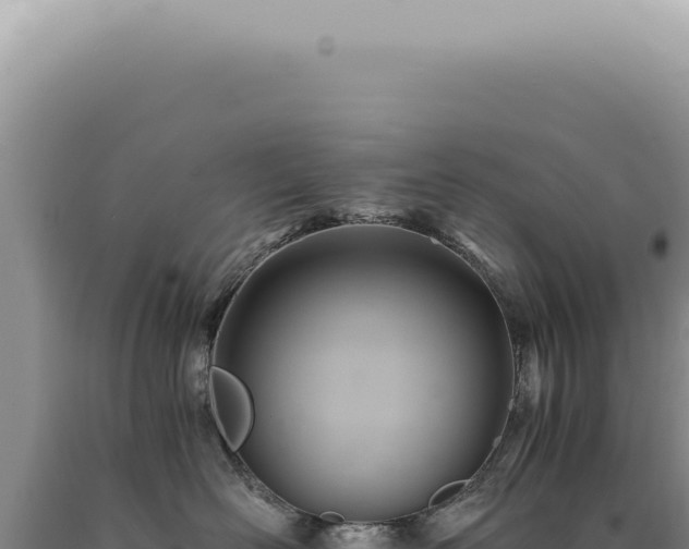 X0000090780526200707271551