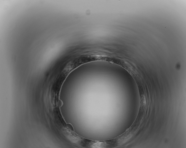 X0000090780527200707271551