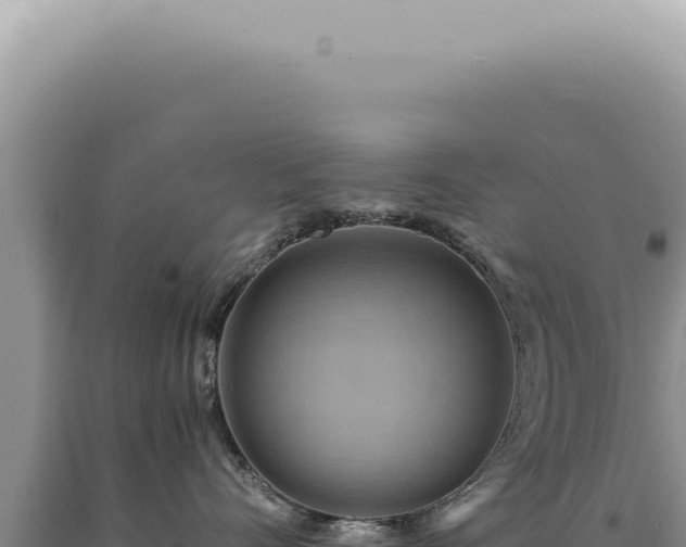 X0000090780528200707271551