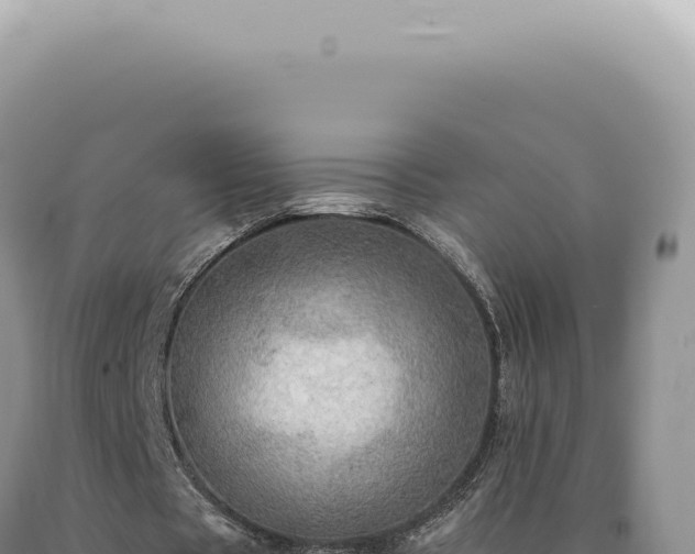 X0000090780529200707271551