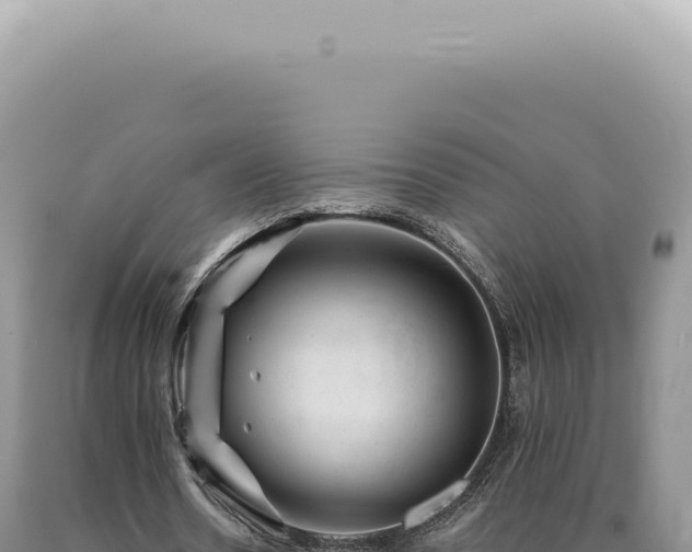 X0000090780530200707271551