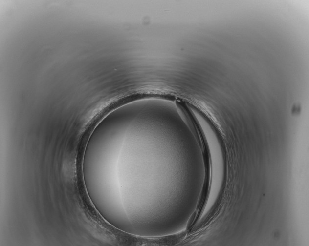 X0000090780531200707271551