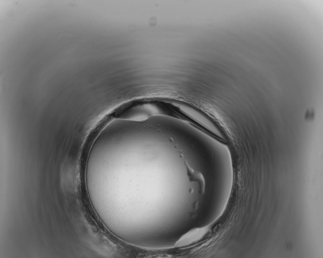 X0000090780532200707271551