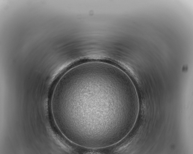 X0000090780535200707271551