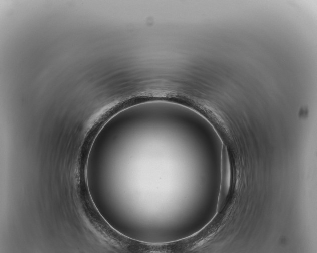 X0000090780536200707271551