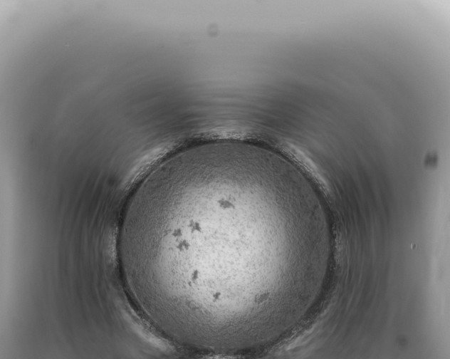 X0000090780537200707271551