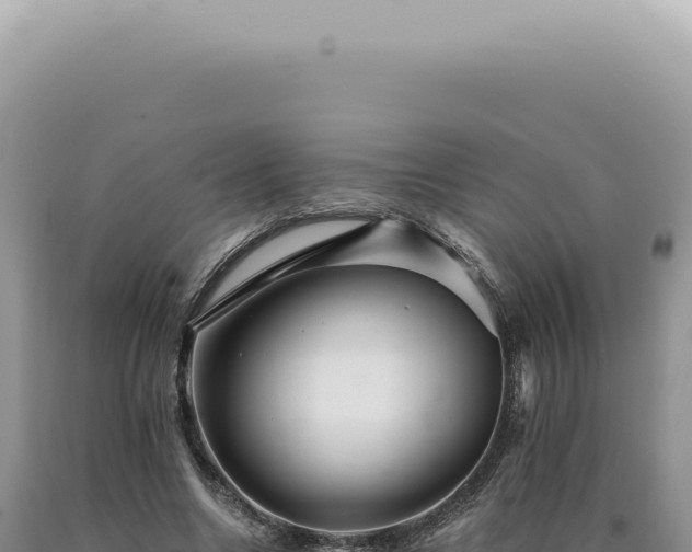 X0000090780538200707271551