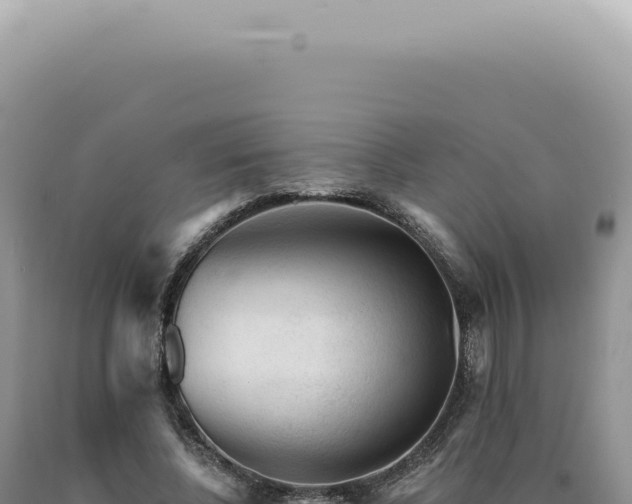X0000090780540200707271551