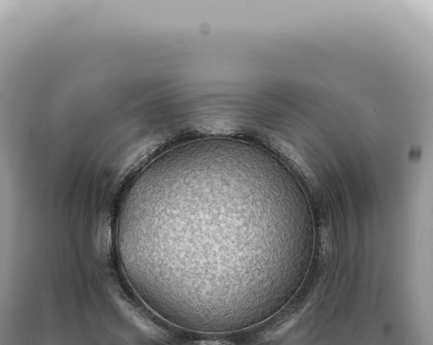 X0000090780541200707271551