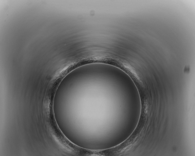 X0000090780542200707271551