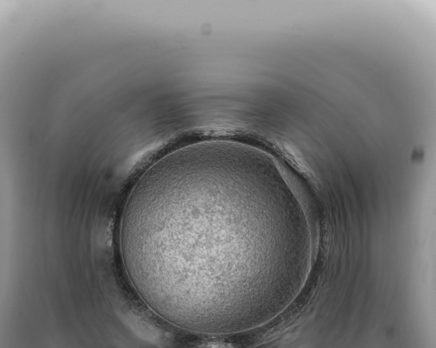 X0000090780543200707271551
