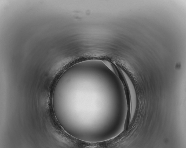 X0000090780544200707271551