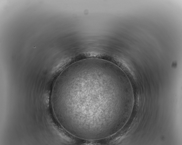X0000090780545200707271551
