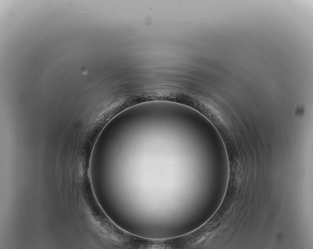 X0000090780546200707271551
