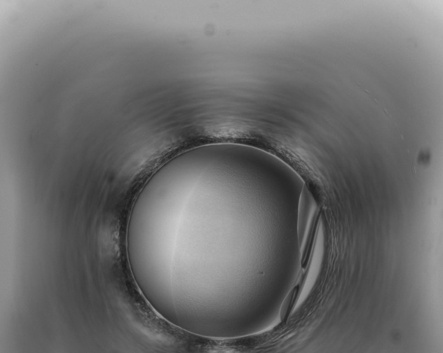 X0000090780547200707271551