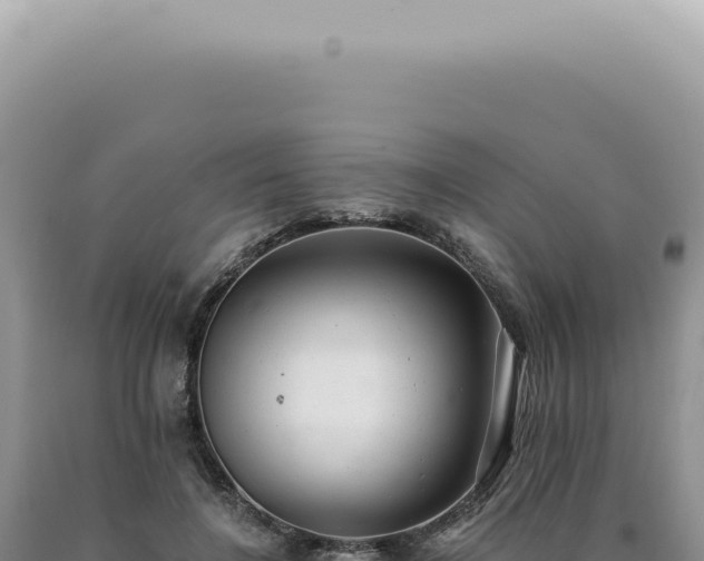 X0000090780548200707271551