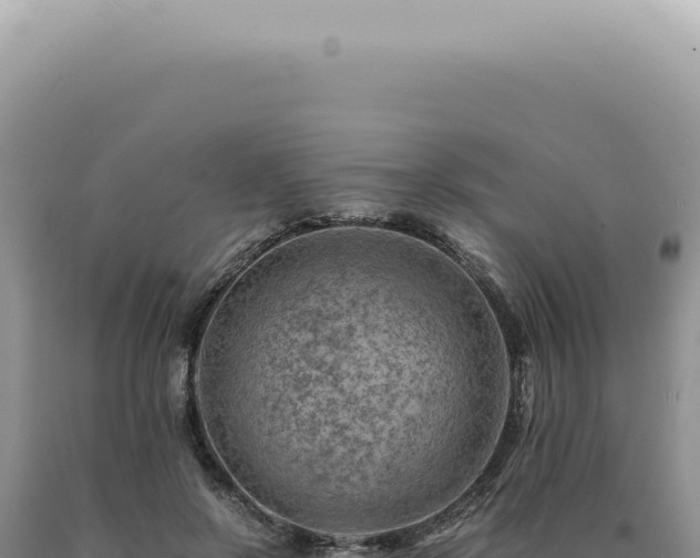 X0000090780550200707271551