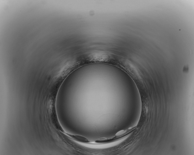 X0000090780551200707271551