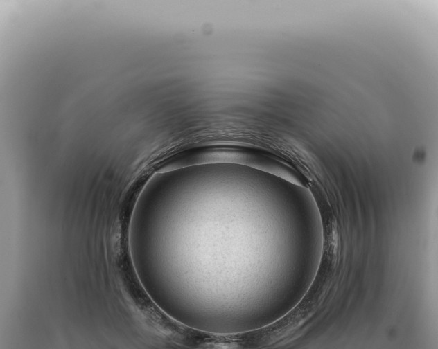 X0000090780552200707271551