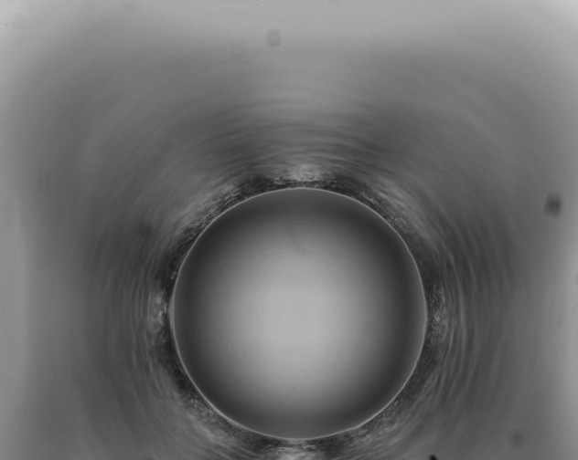 X0000090780555200707271551